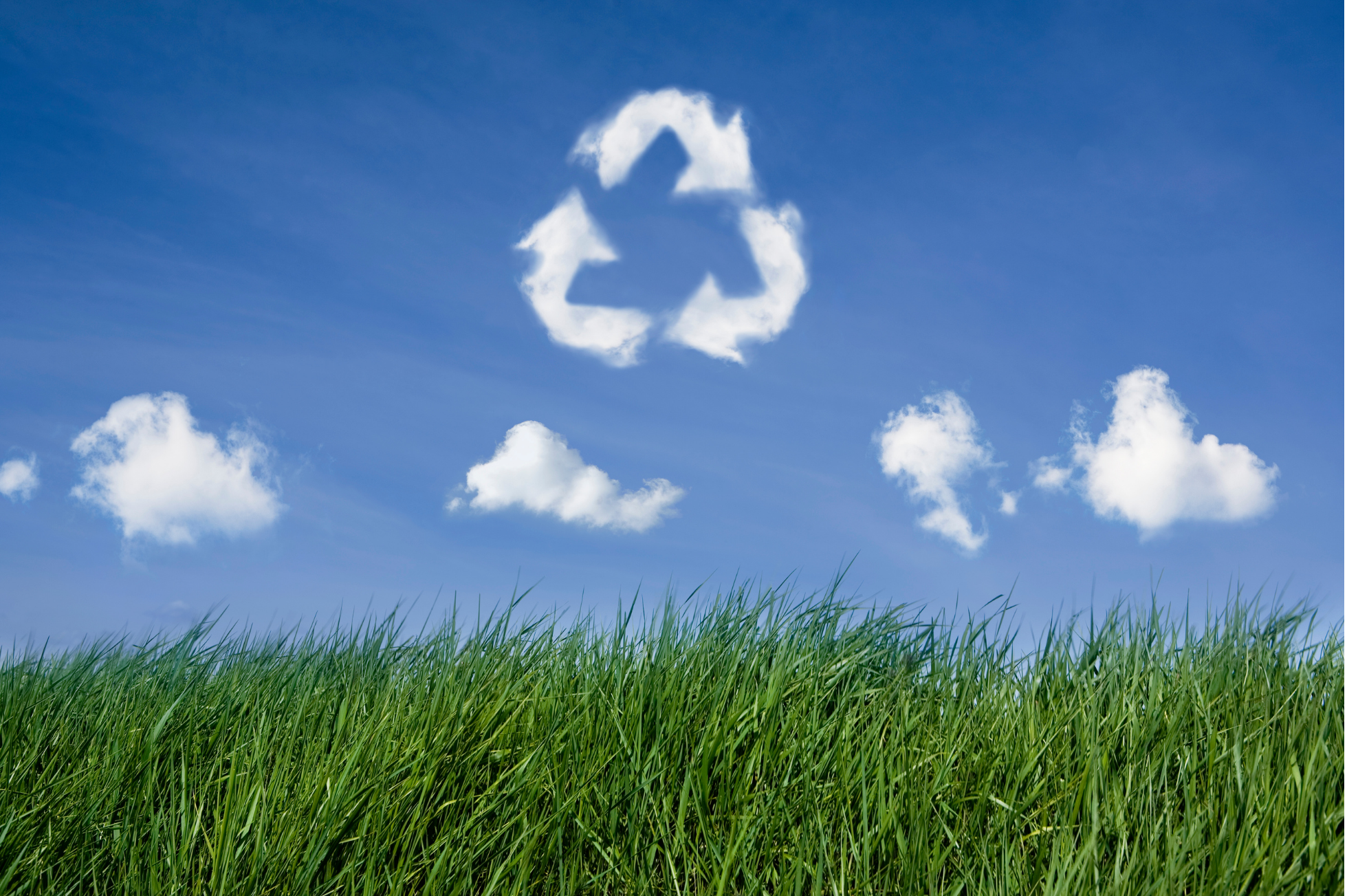 Environmental Management