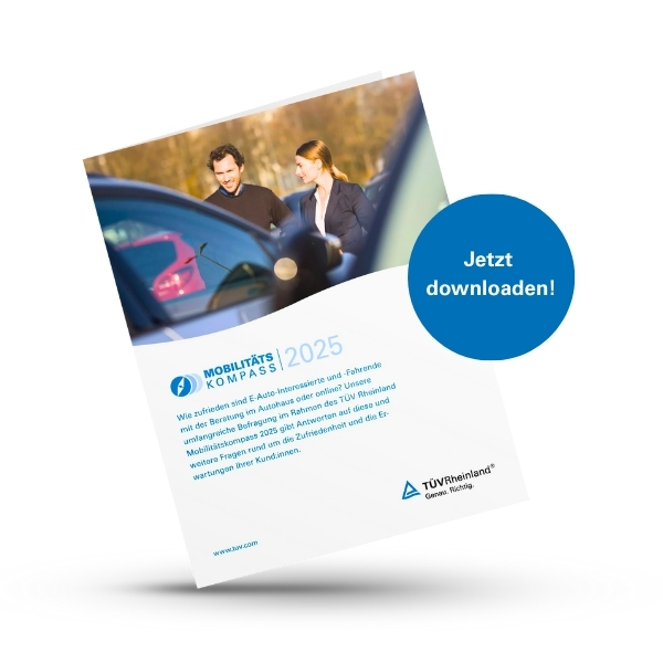 Whitepaper Mobilitätskompass 2025