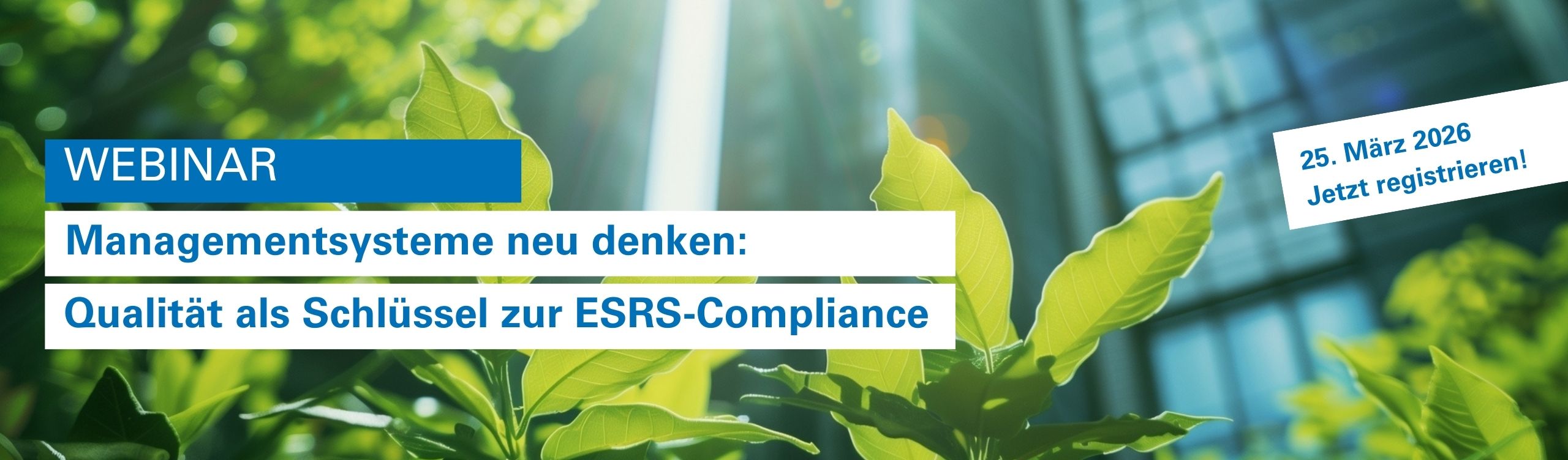 Pflanzen wachsen vor hohen Glas-Hochhäusern, Sonnenstrahlen verbinden Natur und urbane Architektur.